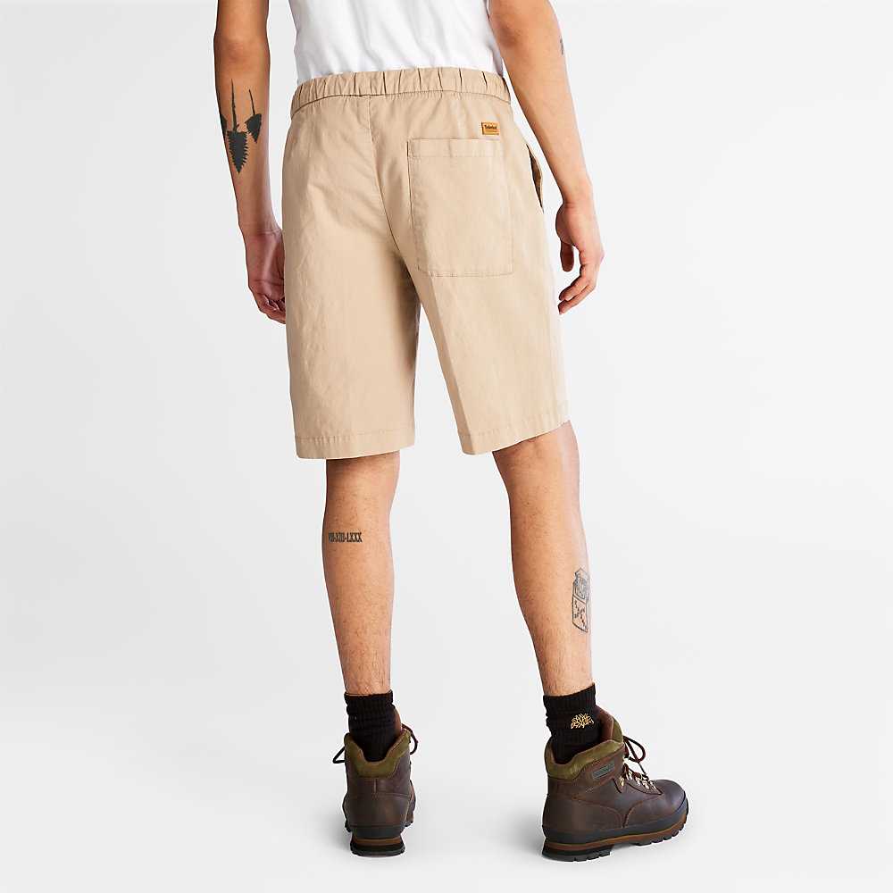 Beige Men's Timberland Cotton Shorts | Israel-9617542