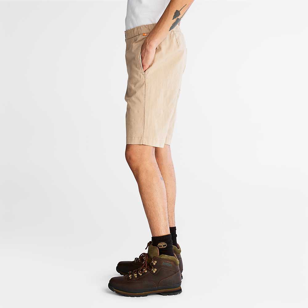 Beige Men's Timberland Cotton Shorts | Israel-9617542