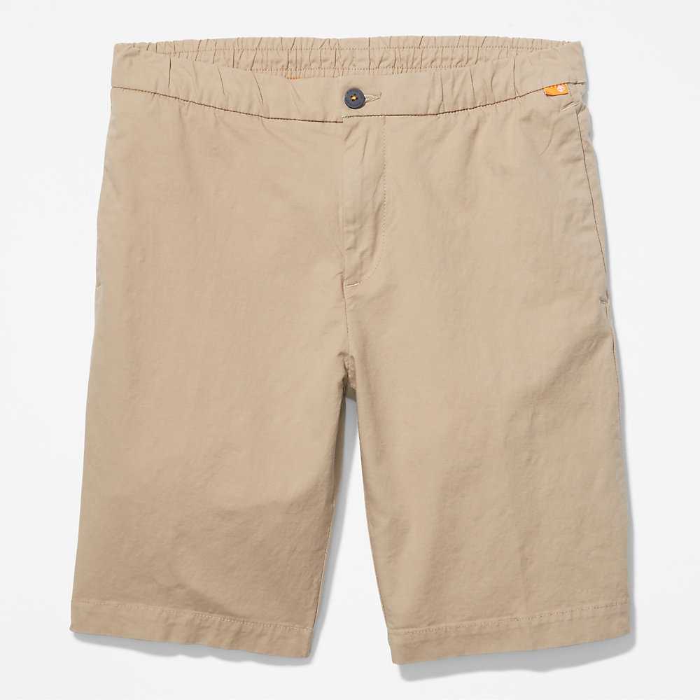 Beige Men's Timberland Cotton Shorts | Israel-9617542