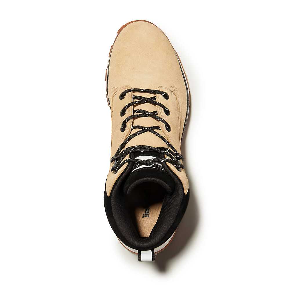 Beige Men's Timberland Treeline Chukka Boots | Israel-9425167