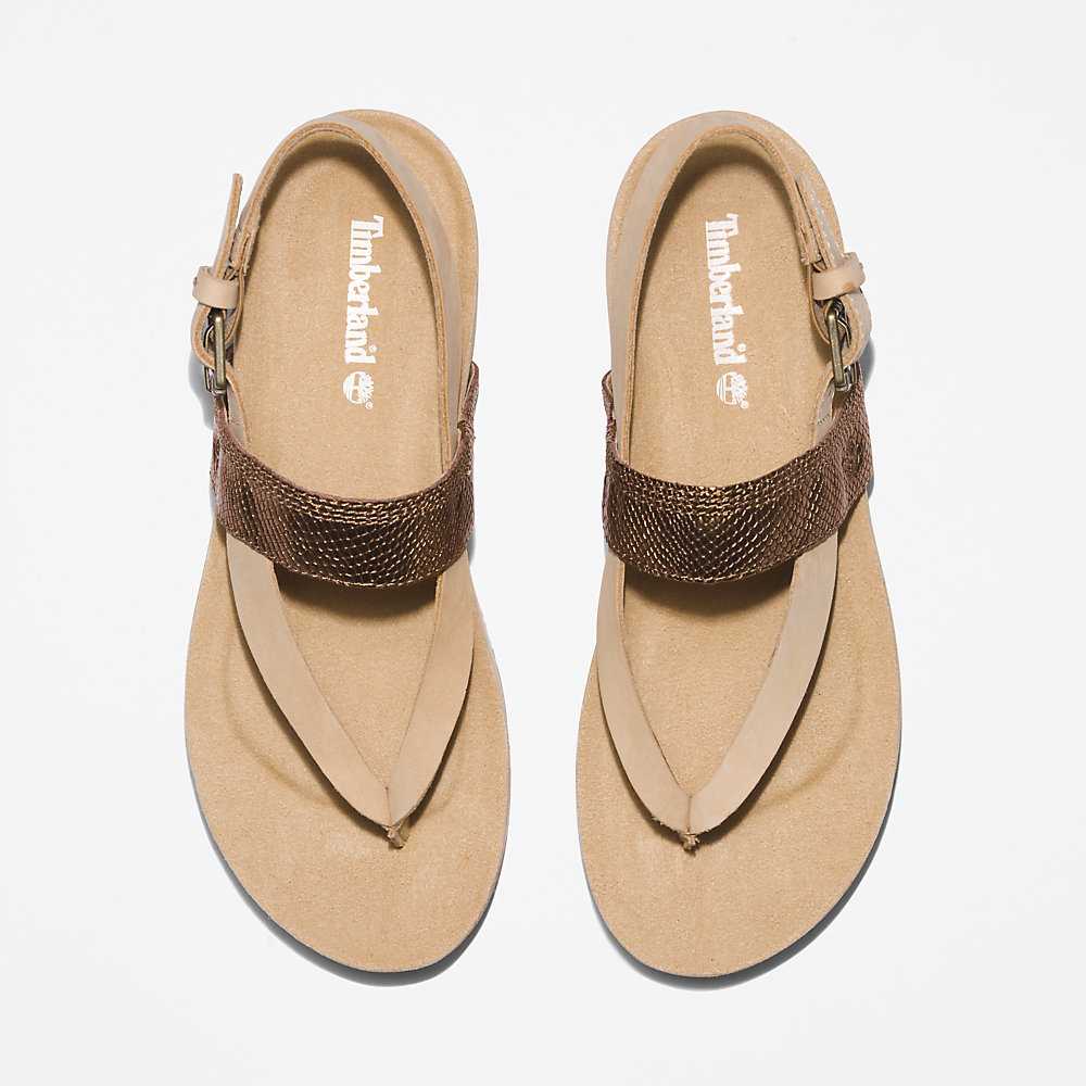 Beige Women's Timberland Malibu Beach Flip Flops | Israel-8723956