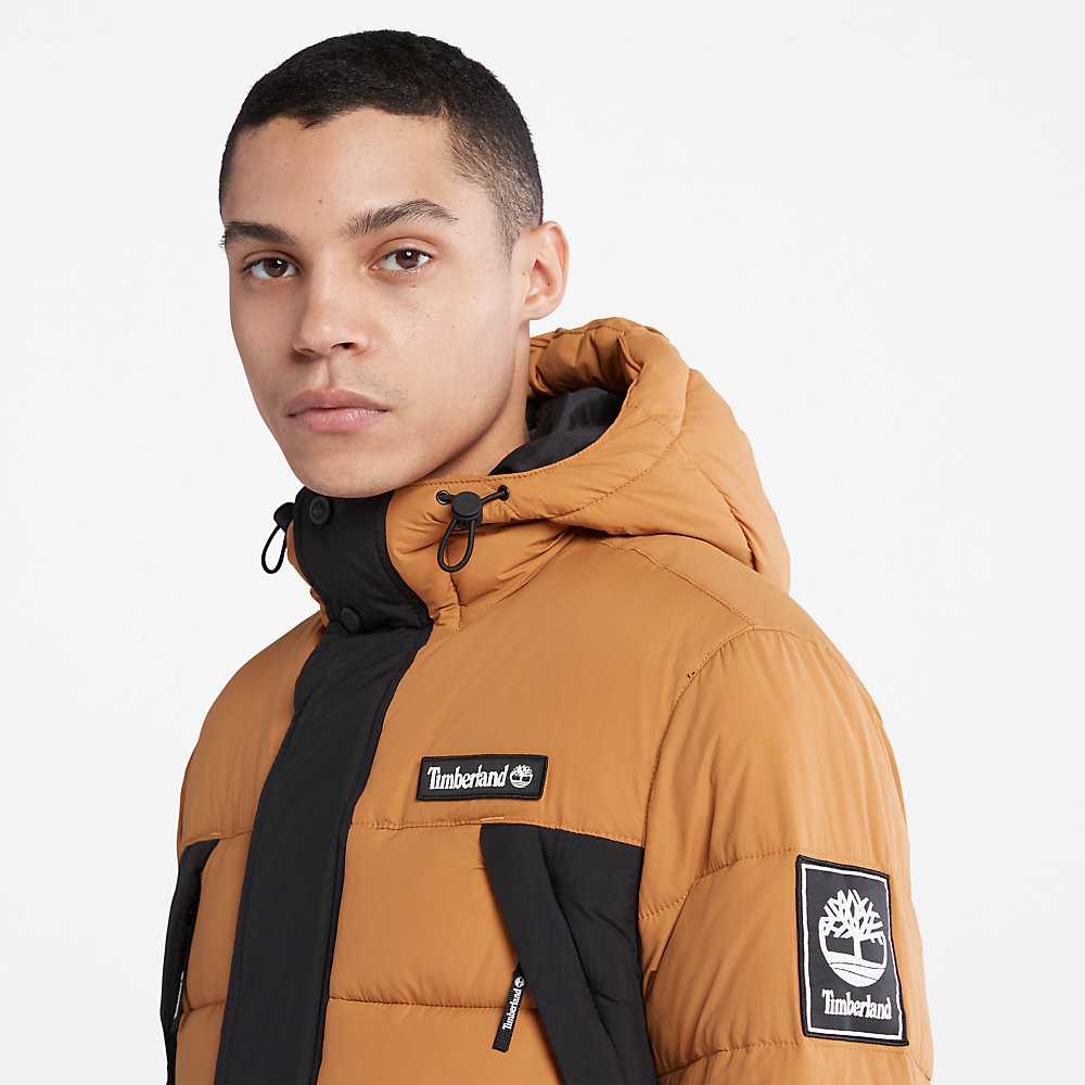 Black Men's Timberland Outdoor Archive Down Jackets | Israel-5703128