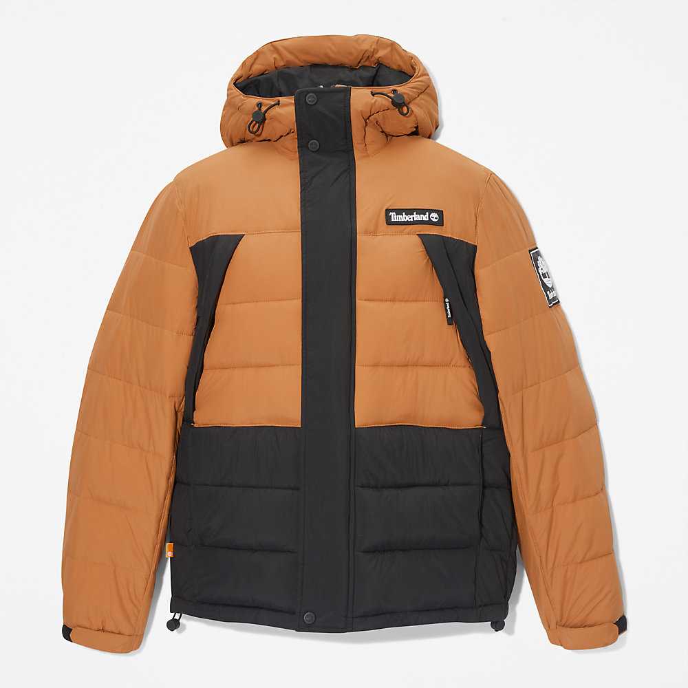 Black Men's Timberland Outdoor Archive Down Jackets | Israel-5703128