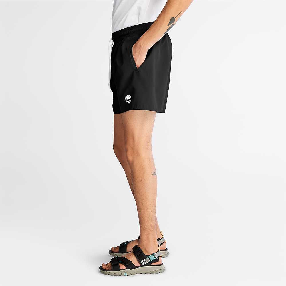 Black Men's Timberland Sunapee Lake Shorts | Israel-7650913