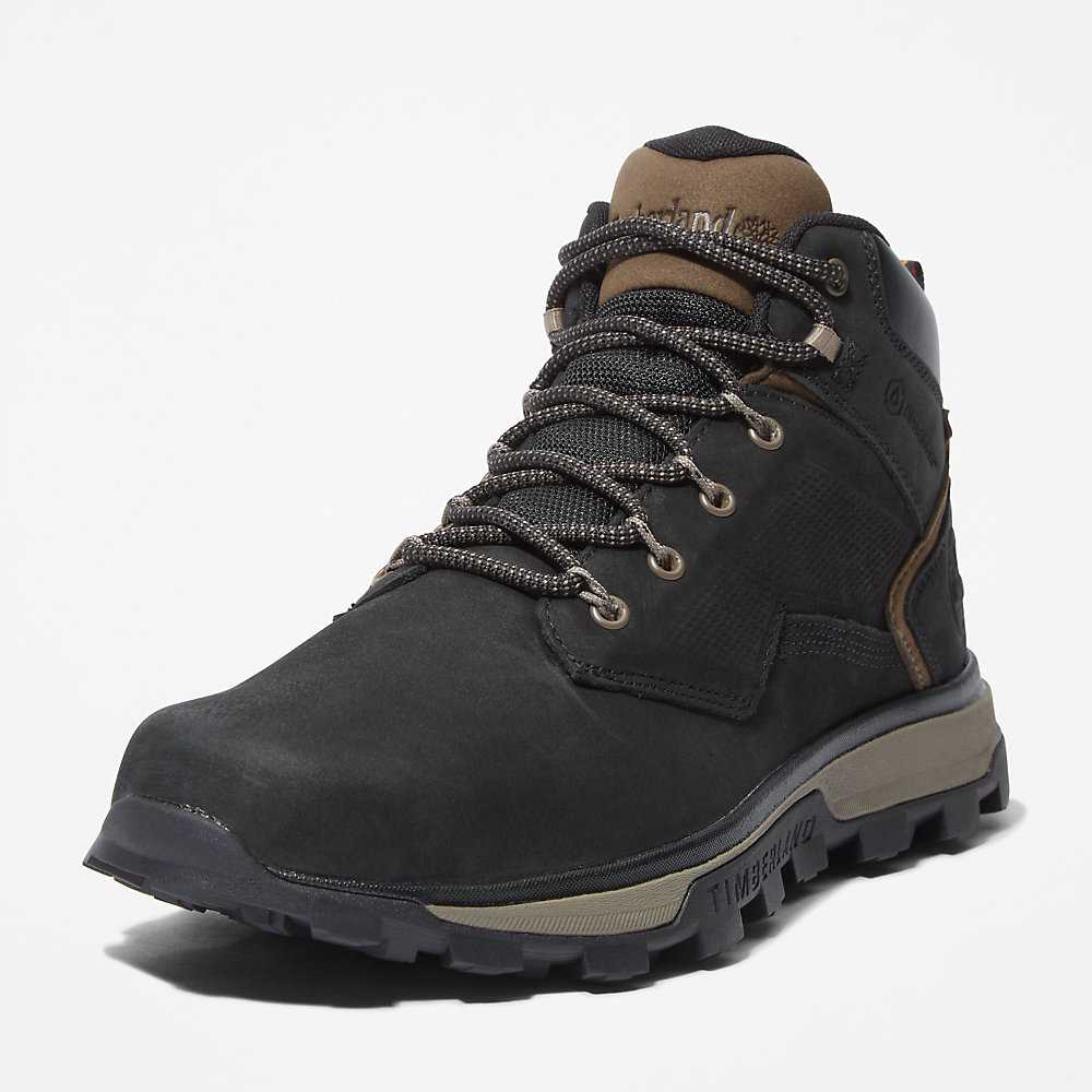 Black Men's Timberland Treeline Hiking Boots | Israel-2619780