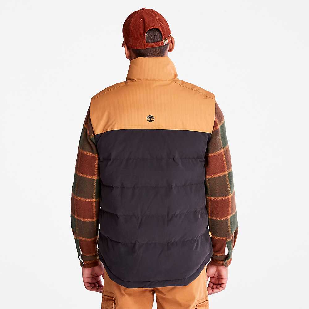 Black Men's Timberland Welch Mountain Vest | Israel-5317084