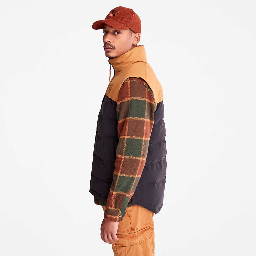 Black Men's Timberland Welch Mountain Vest | Israel-5317084