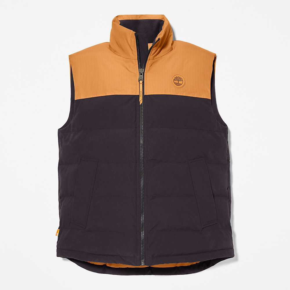 Black Men's Timberland Welch Mountain Vest | Israel-5317084