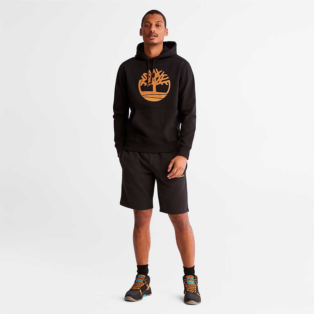 Black Men's Timberland ree-Logo Hoodie | Israel-9362150