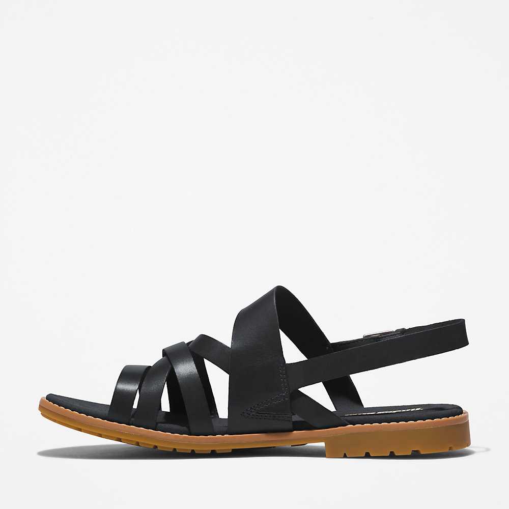 Black Women's Timberland Chicago Sandals | Israel-9165742