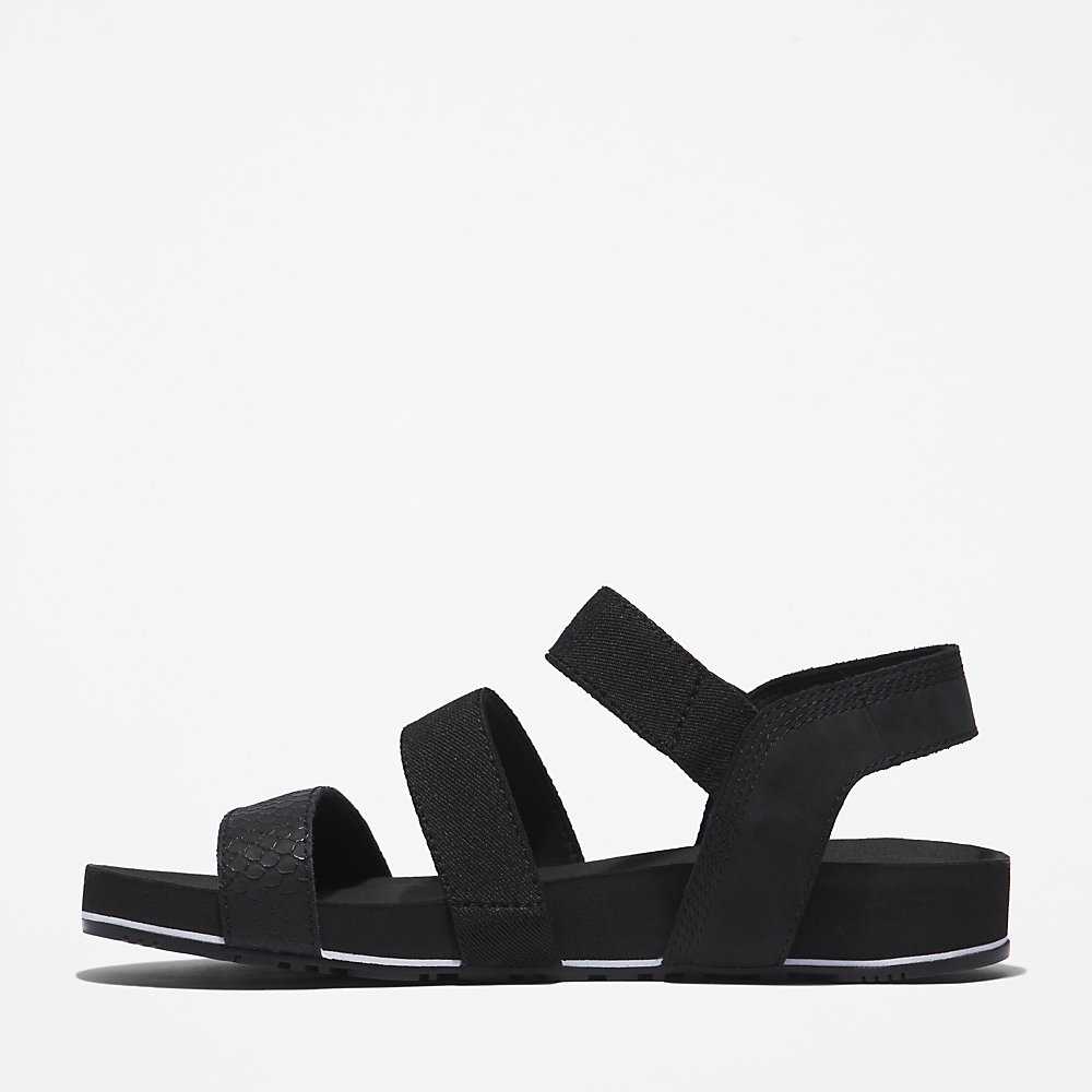 Black Women's Timberland Malibu Waves Sandals | Israel-0324951