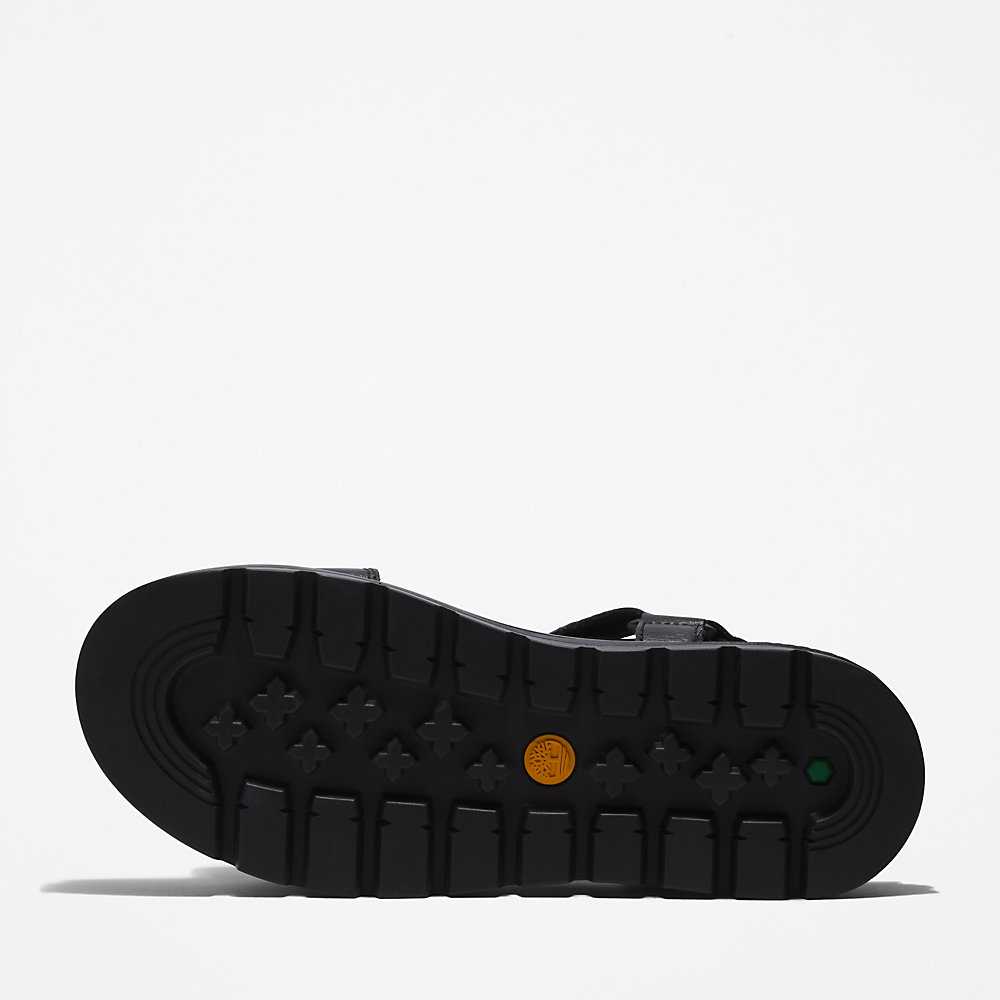 Black Women's Timberland Ray City Sandals | Israel-2498316