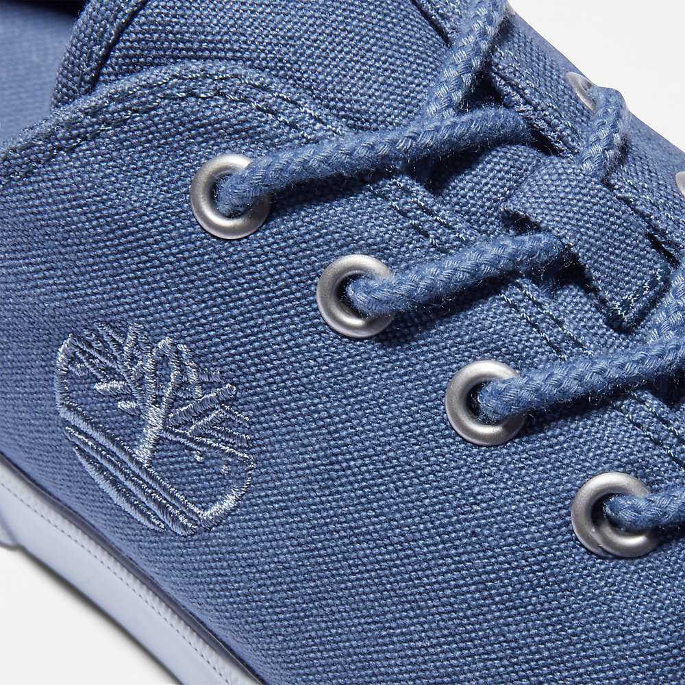 Blue Men's Timberland Union Wharf 2.0 Sneakers | Israel-9814670