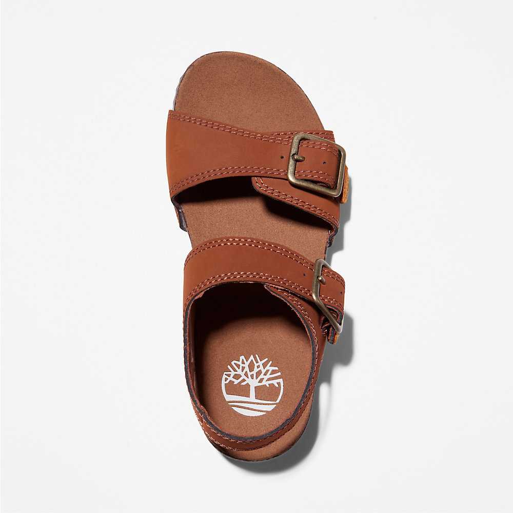 Brown Kids' Timberland Castle Island Sandals | Israel-6412085