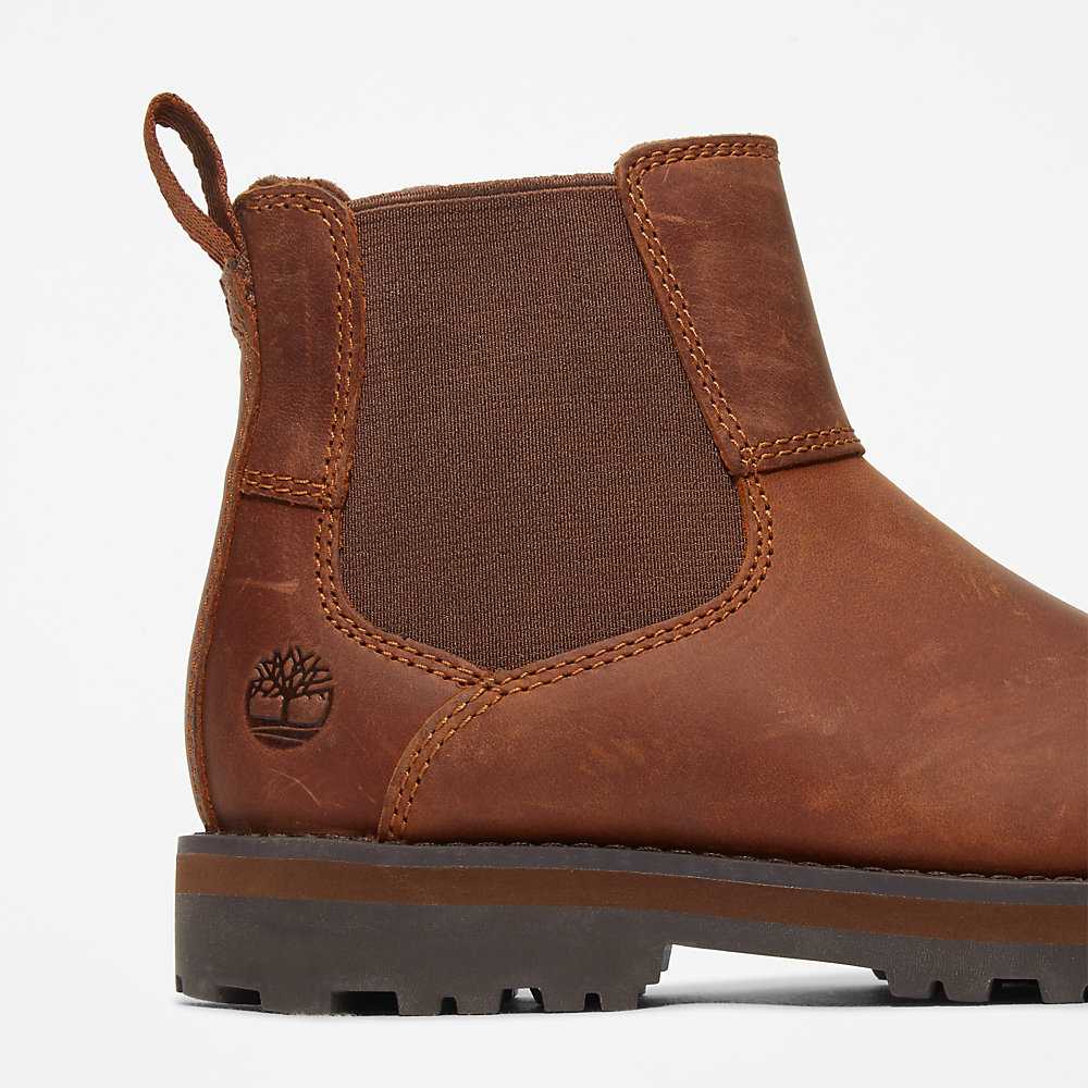 Brown Kids' Timberland Courma Chelsea Boots | Israel-4219539