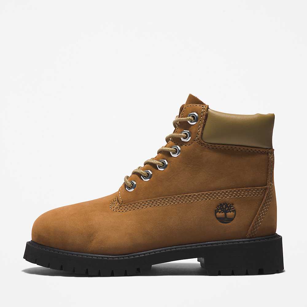 Brown Kids' Timberland Premium® 6 Inch Waterproof Boots | Israel-4219582