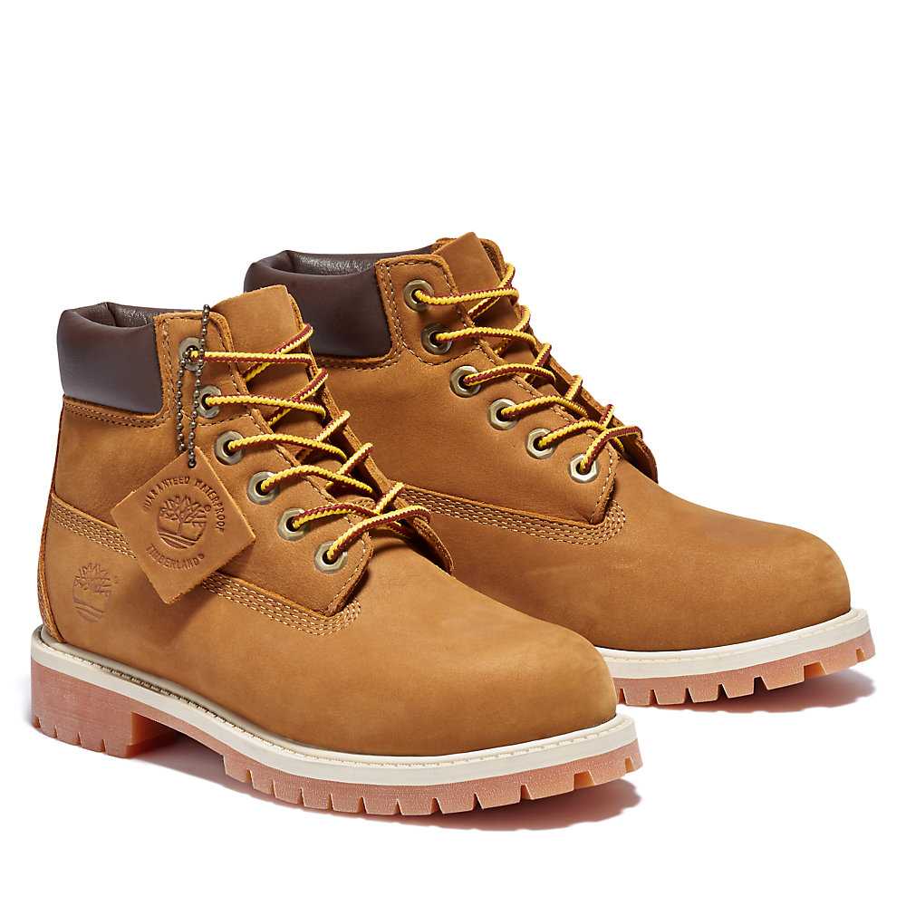 Brown Kids' Timberland Premium® 6 Inch Waterproof Boots | Israel-4219622