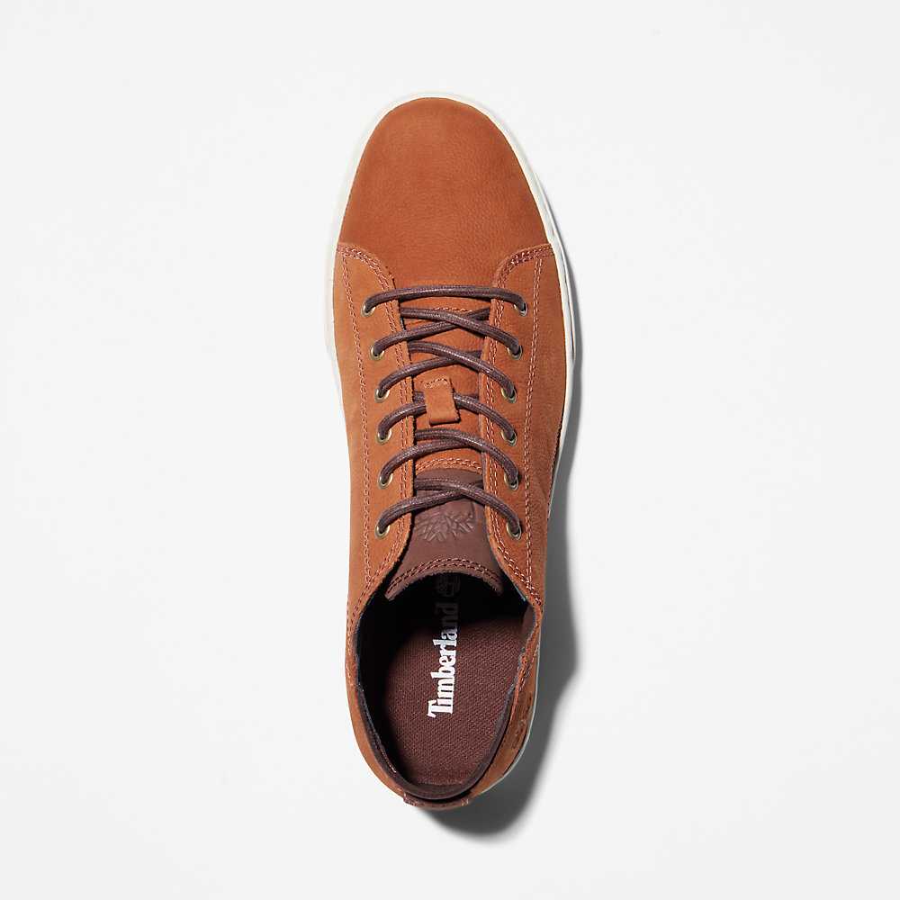 Brown Men's Timberland Adventure 2.0 Cupsole Oxfords Shoes | Israel-6297418