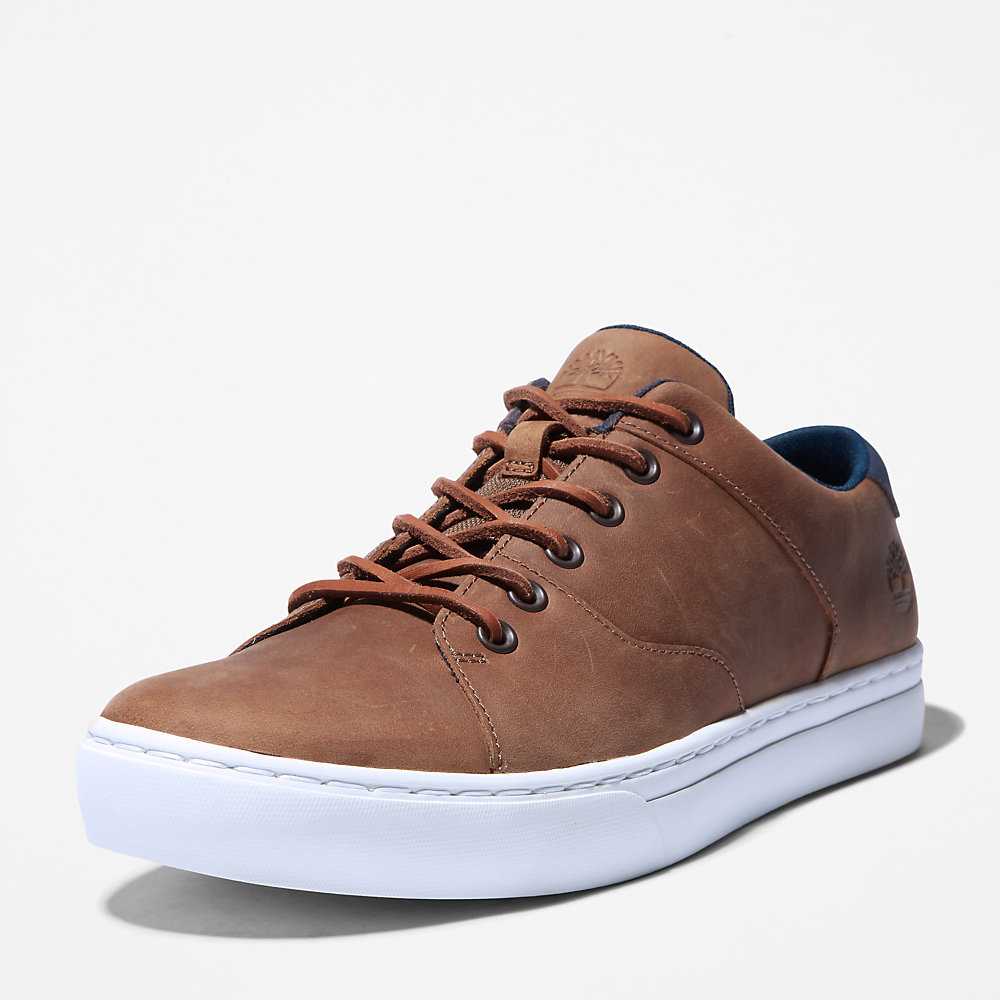 Brown Men's Timberland Adventure 2.0 Sneakers | Israel-9382674