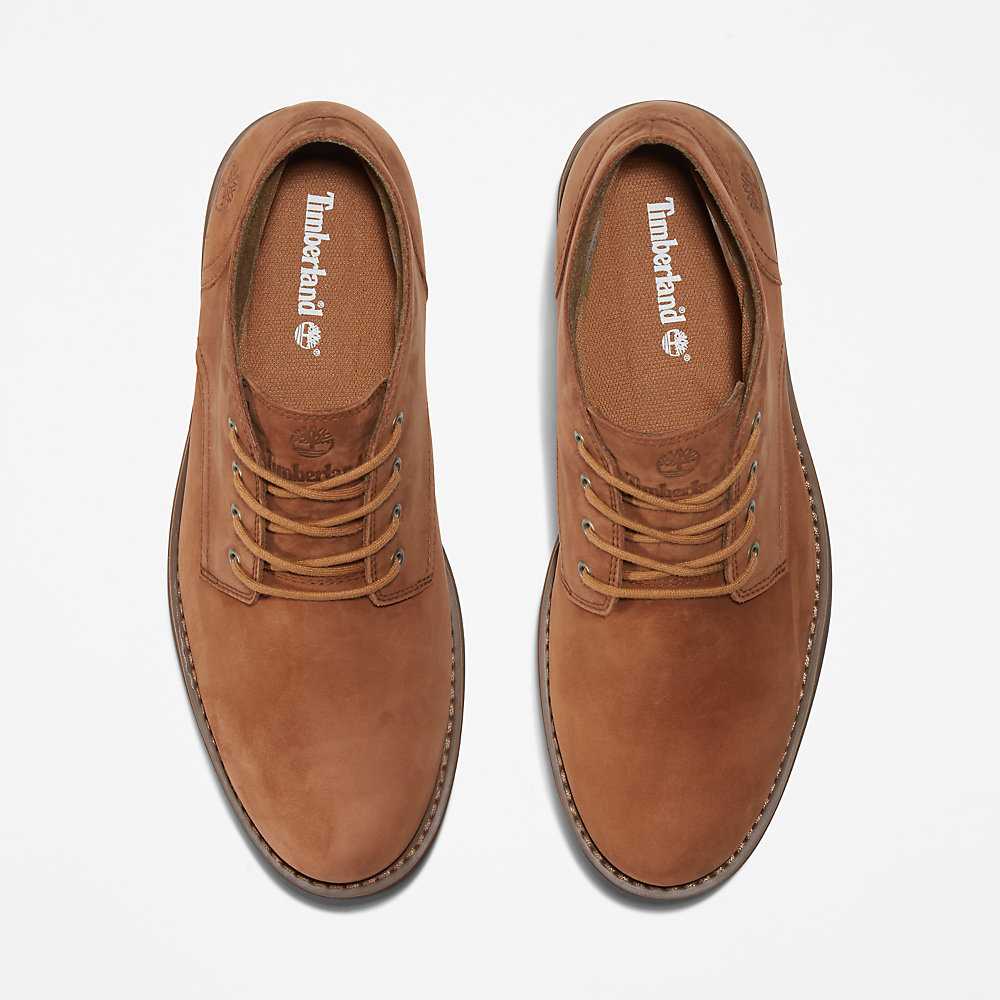 Brown Men's Timberland Alden Brook Chukka Boots | Israel-9804723