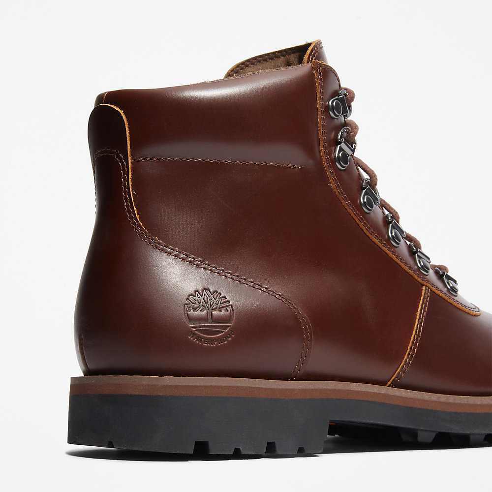 Brown Men's Timberland Alden Brook Waterproof Boots | Israel-8796543