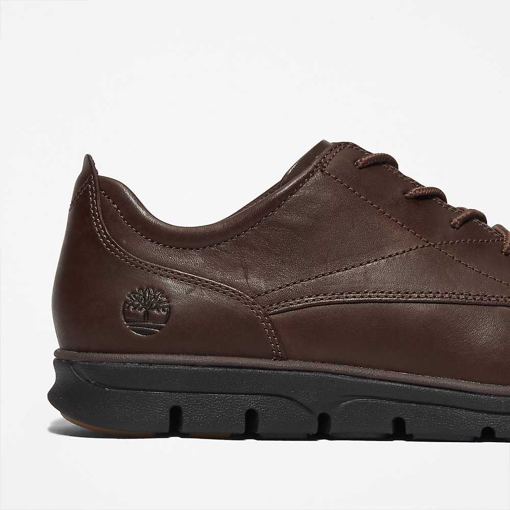 Brown Men's Timberland Bradstreet Oxfords Shoes | Israel-2891374