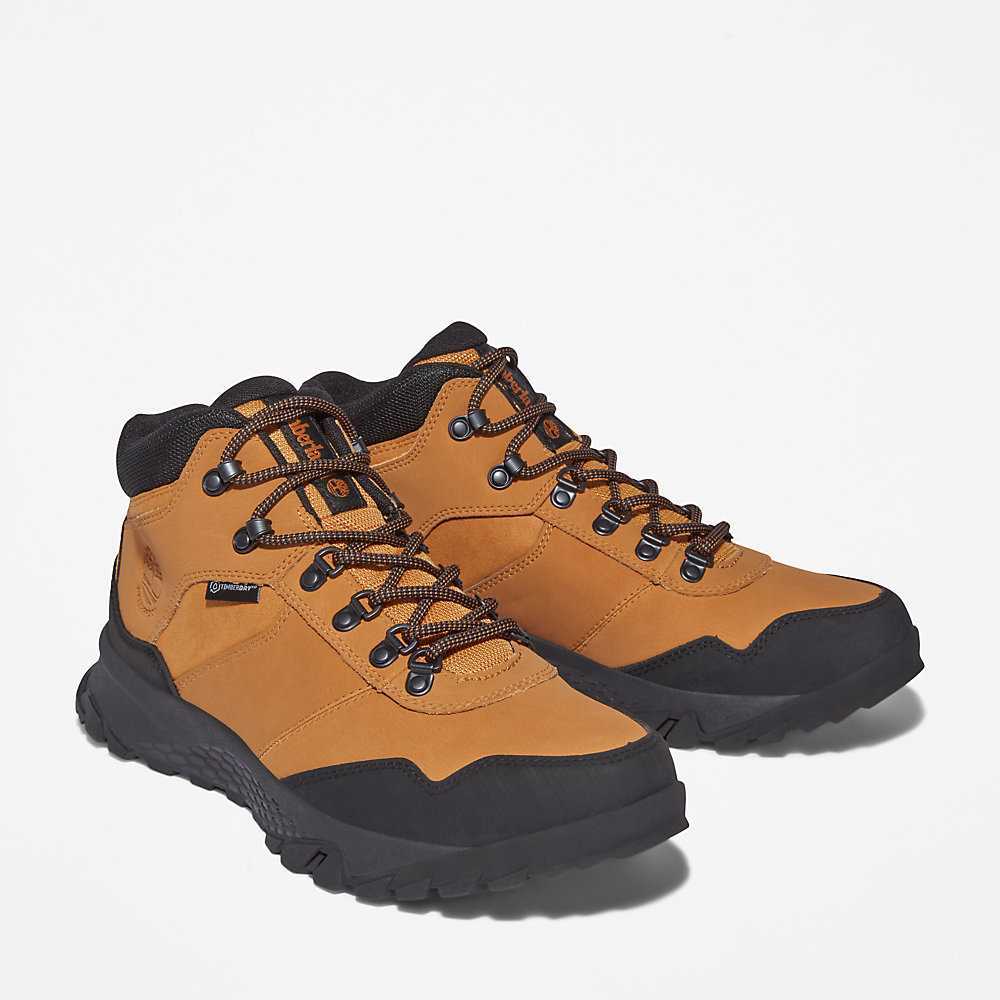 Brown Men's Timberland Lincoln Peak Hiking Boots | Israel-3871629