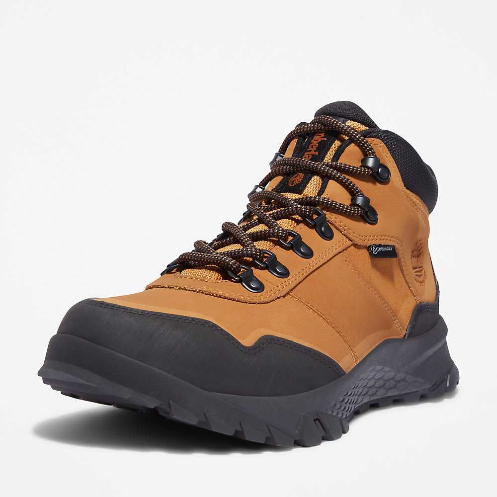 Brown Men's Timberland Lincoln Peak Hiking Boots | Israel-3871629