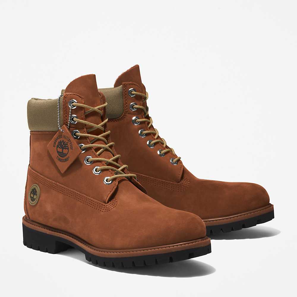 Brown Men's Timberland Premium® 6 Inch Waterproof Boots | Israel-1436087