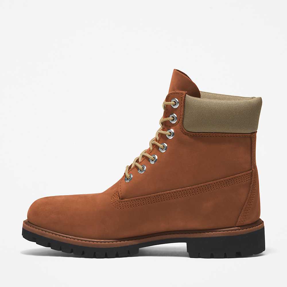 Brown Men's Timberland Premium® 6 Inch Waterproof Boots | Israel-1436087