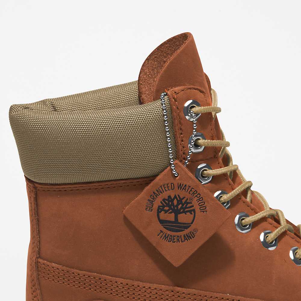 Brown Men's Timberland Premium® 6 Inch Waterproof Boots | Israel-1436087