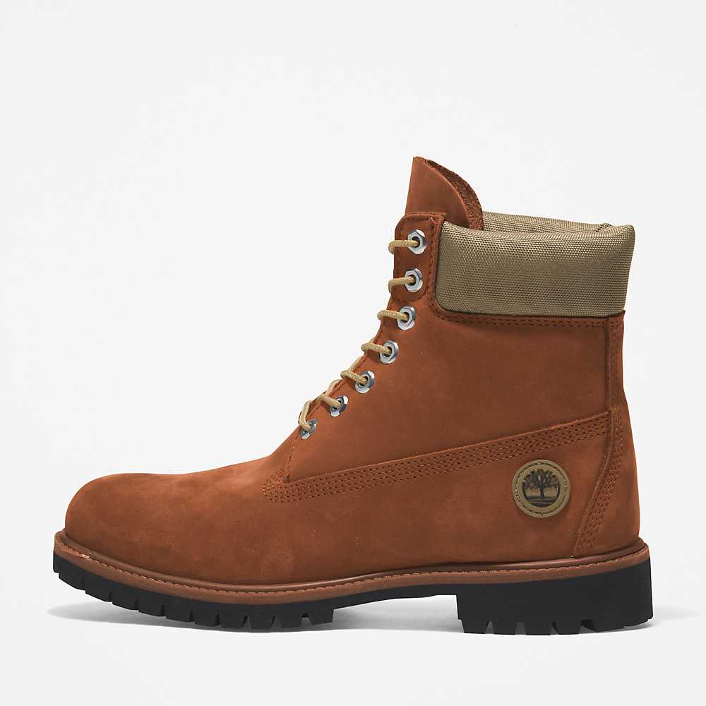 Brown Men's Timberland Premium® 6 Inch Waterproof Boots | Israel-1436087