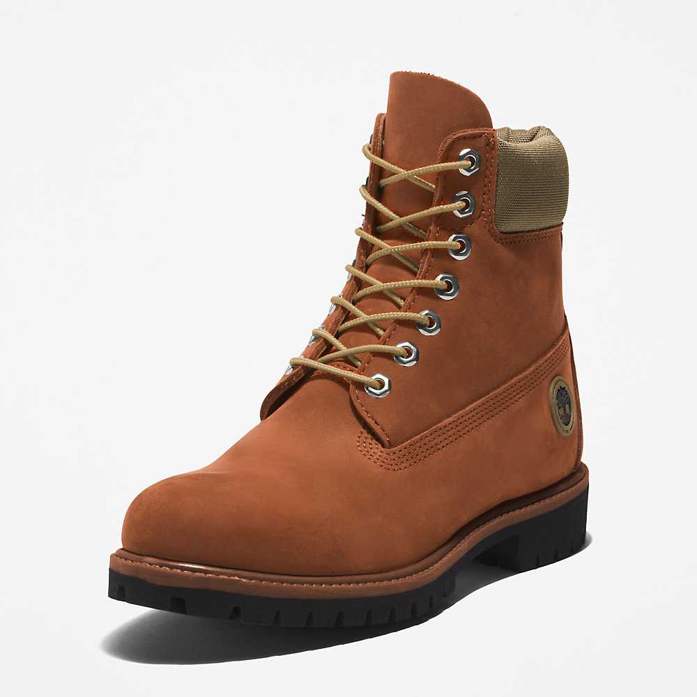 Brown Men's Timberland Premium® 6 Inch Waterproof Boots | Israel-1436087