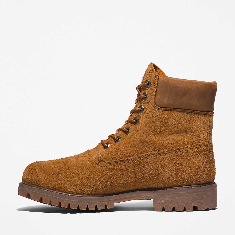 Brown Men's Timberland Premium® 6 Inch Waterproof Boots | Israel-5194607