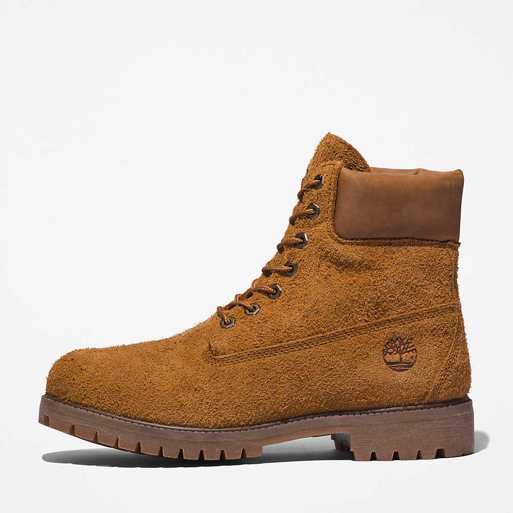 Brown Men's Timberland Premium® 6 Inch Waterproof Boots | Israel-5194607