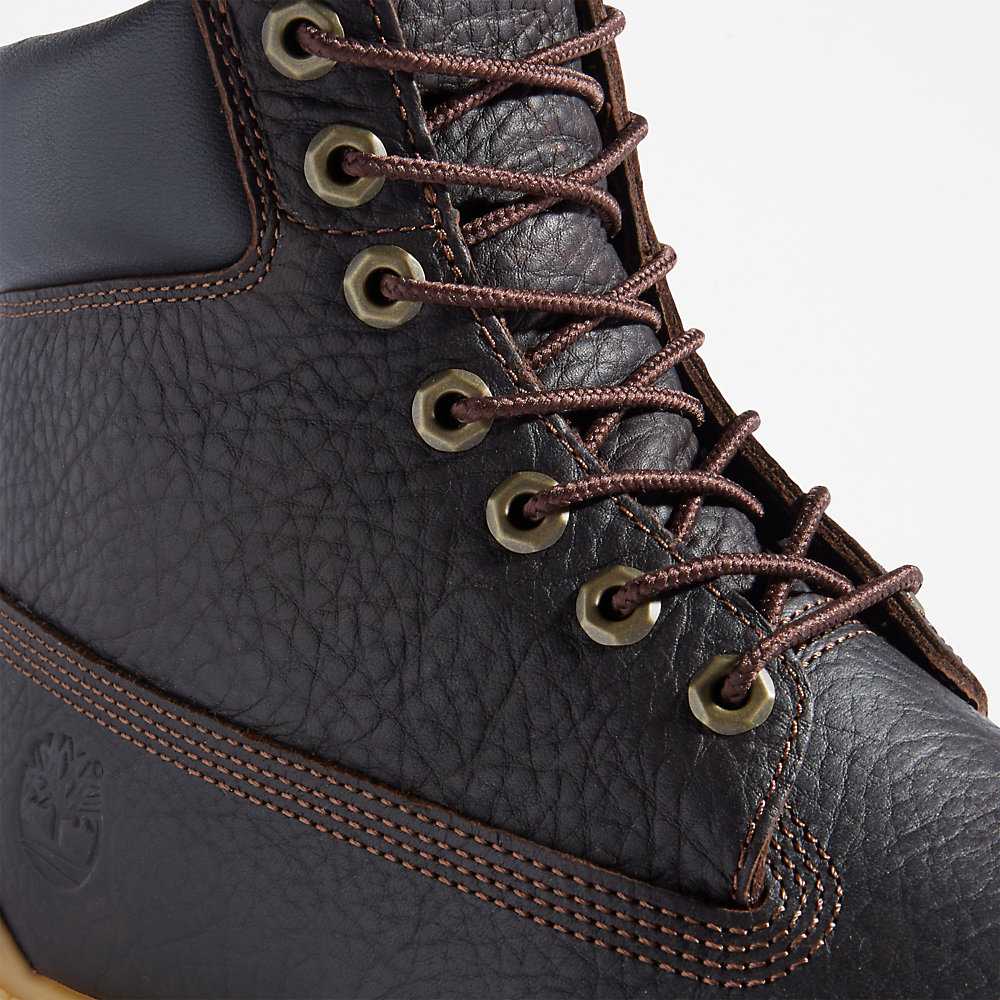 Brown Men's Timberland Premium® 6 Inch Winter Boots | Israel-5608913