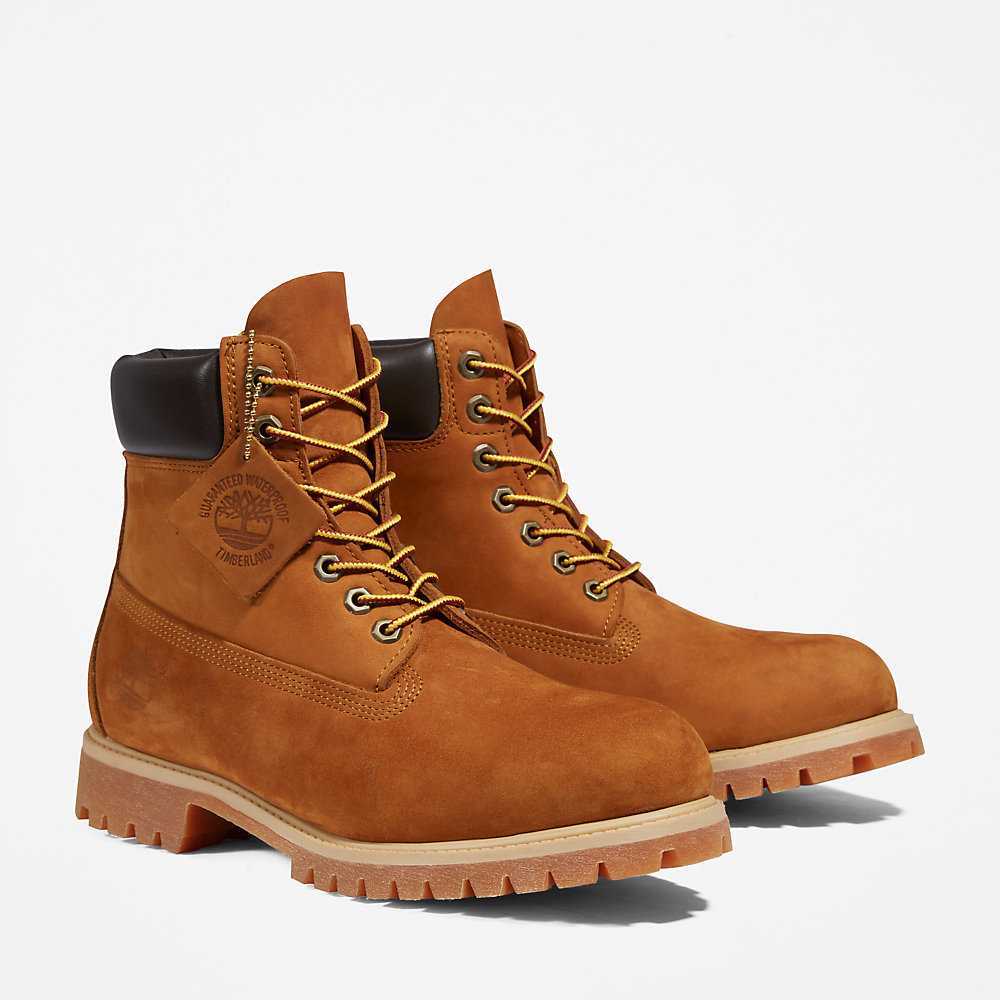 Brown Men's Timberland Premium® 6 Inch Waterproof Boots | Israel-9465310