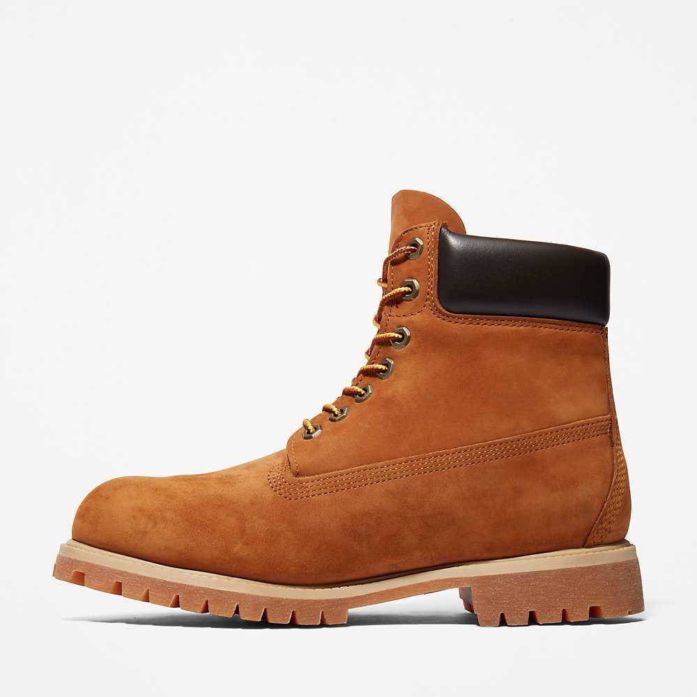 Brown Men's Timberland Premium® 6 Inch Waterproof Boots | Israel-9465310