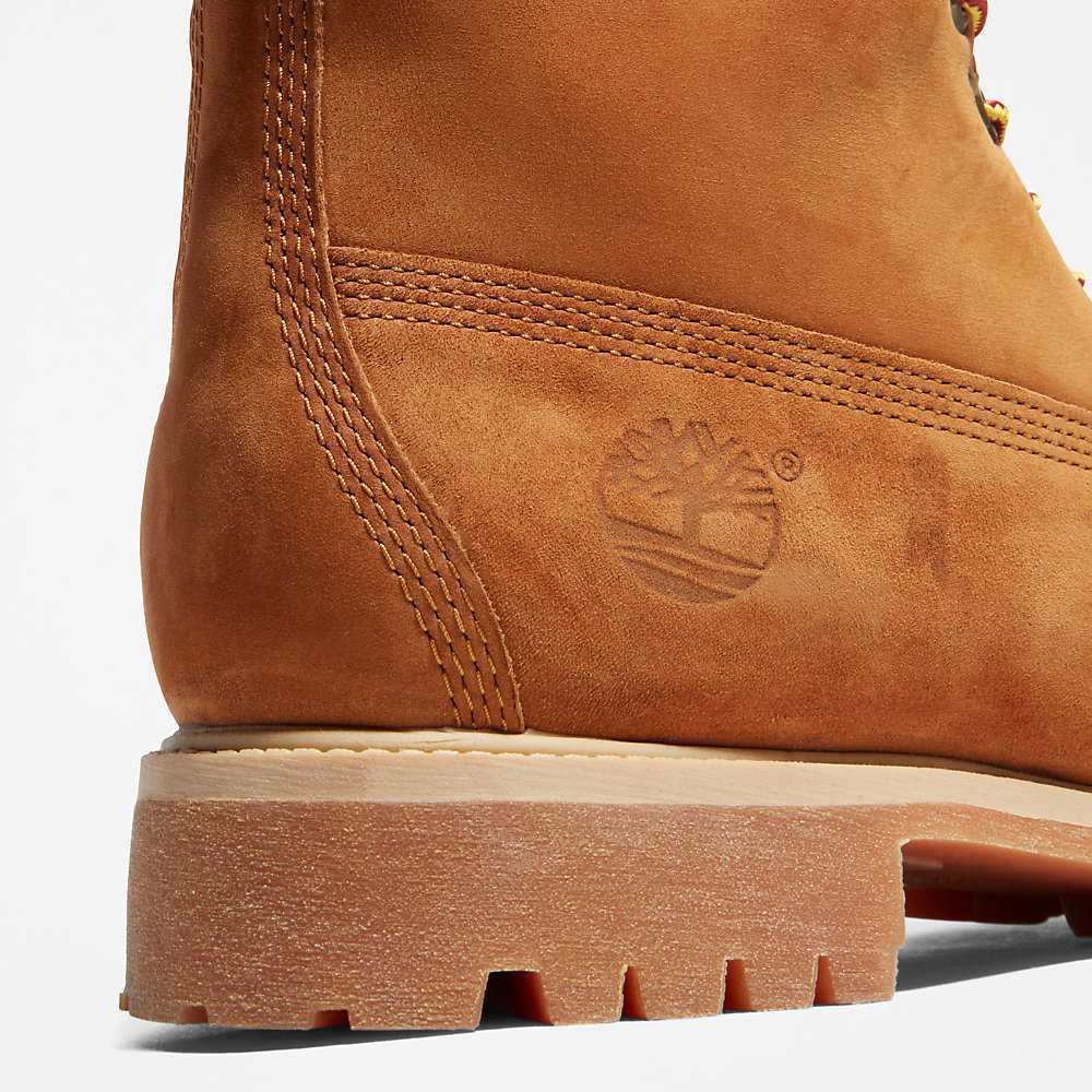 Brown Men's Timberland Premium® 6 Inch Waterproof Boots | Israel-9465310