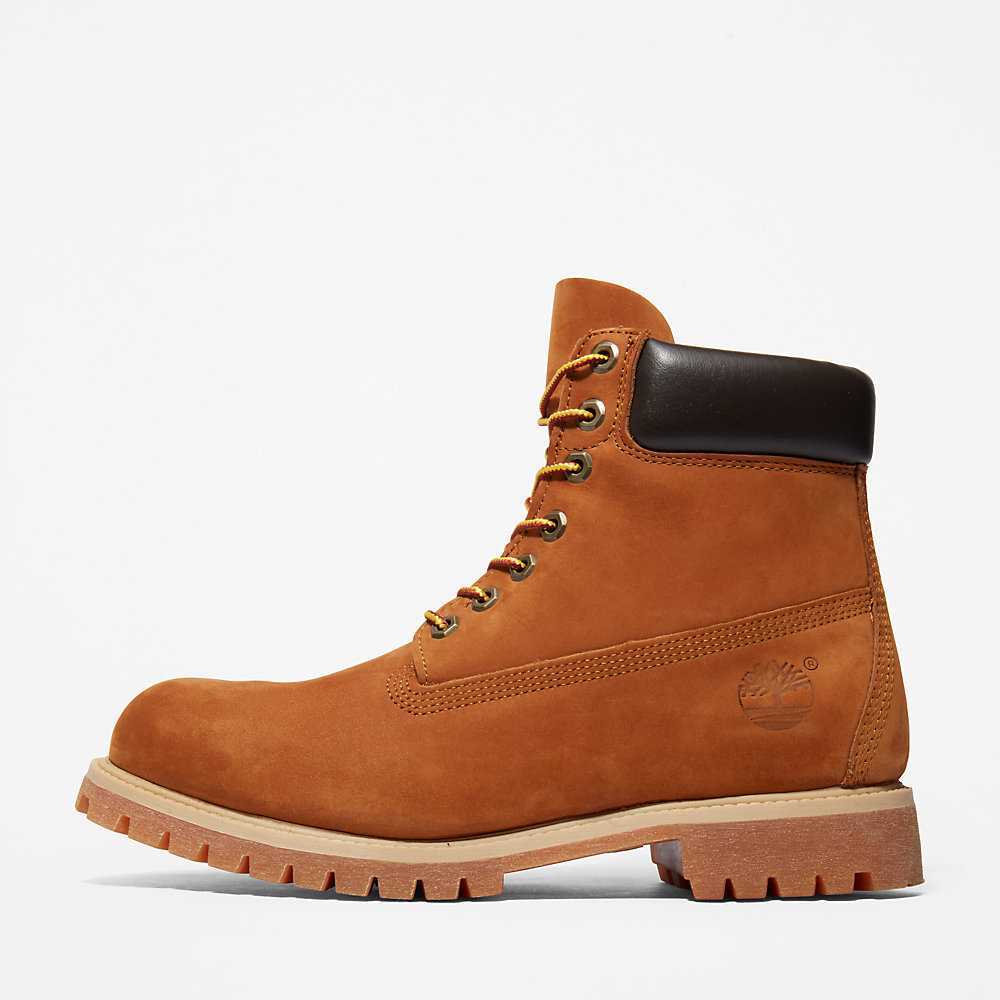 Brown Men's Timberland Premium® 6 Inch Waterproof Boots | Israel-9465310