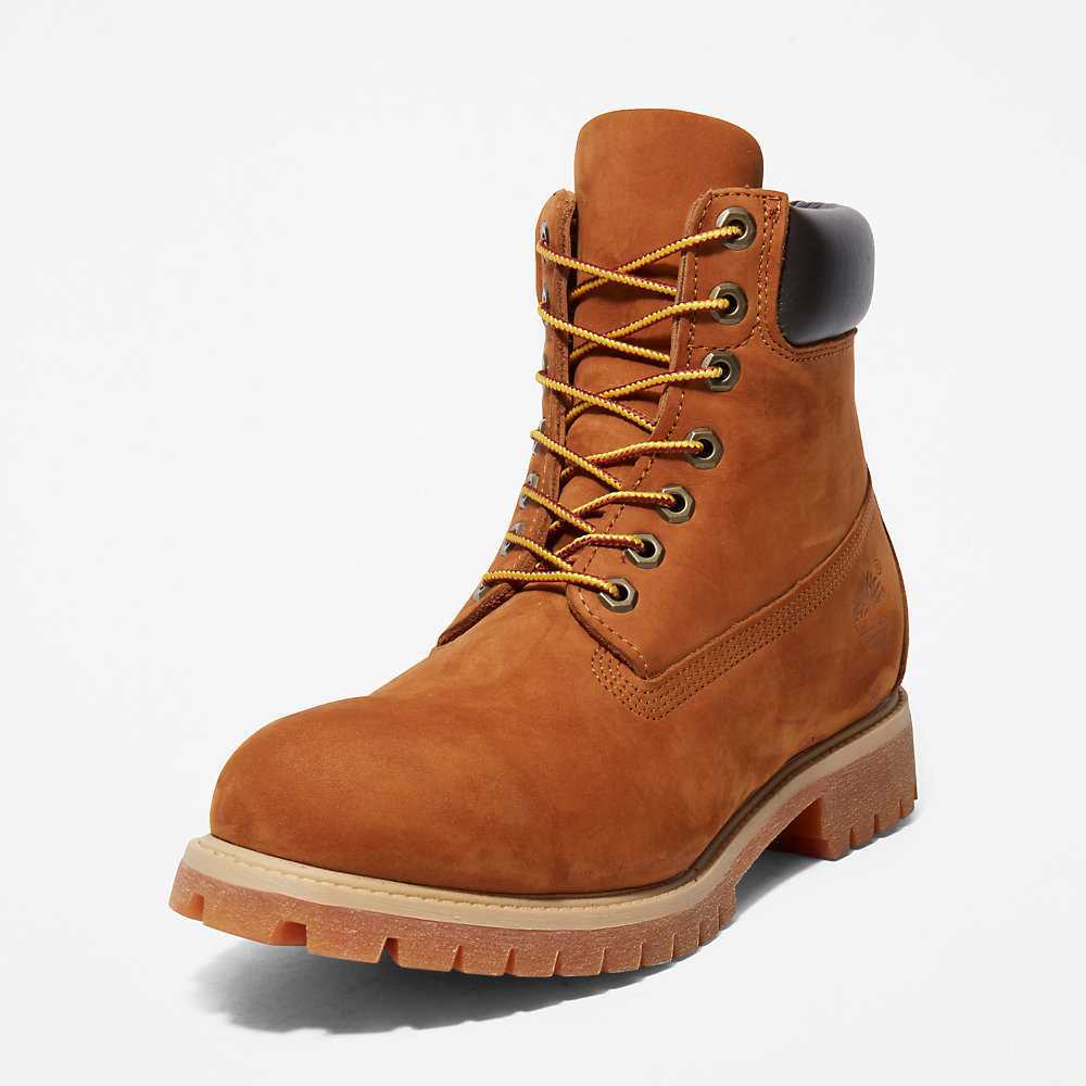 Brown Men's Timberland Premium® 6 Inch Waterproof Boots | Israel-9465310