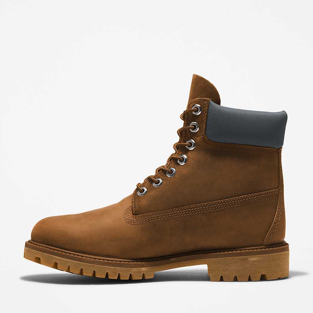 Brown Men's Timberland Premium® 6 Inch Waterproof Boots | Israel-9586374