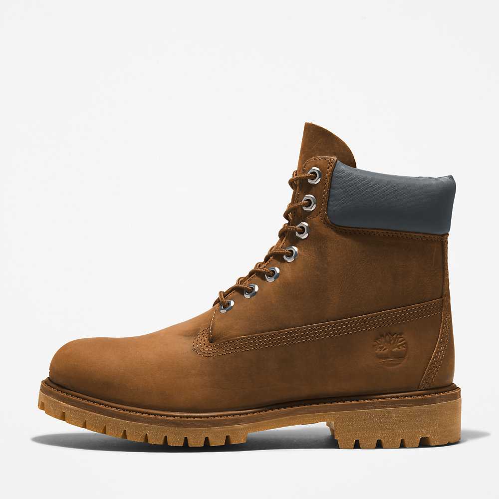 Brown Men's Timberland Premium® 6 Inch Waterproof Boots | Israel-9586374