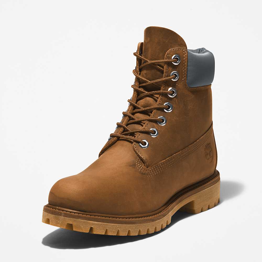 Brown Men's Timberland Premium® 6 Inch Waterproof Boots | Israel-9586374