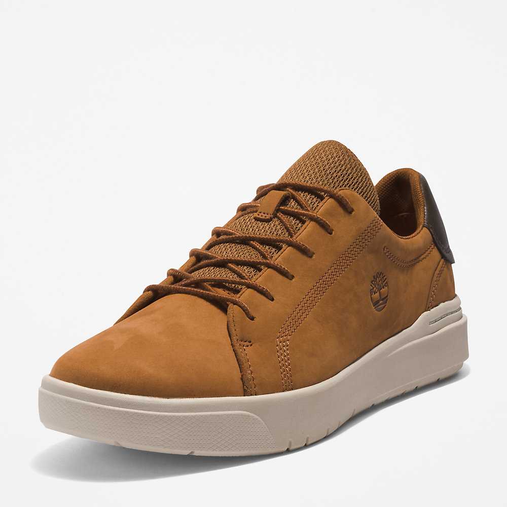 Brown Men's Timberland Seneca Bay Sneakers | Israel-2713859