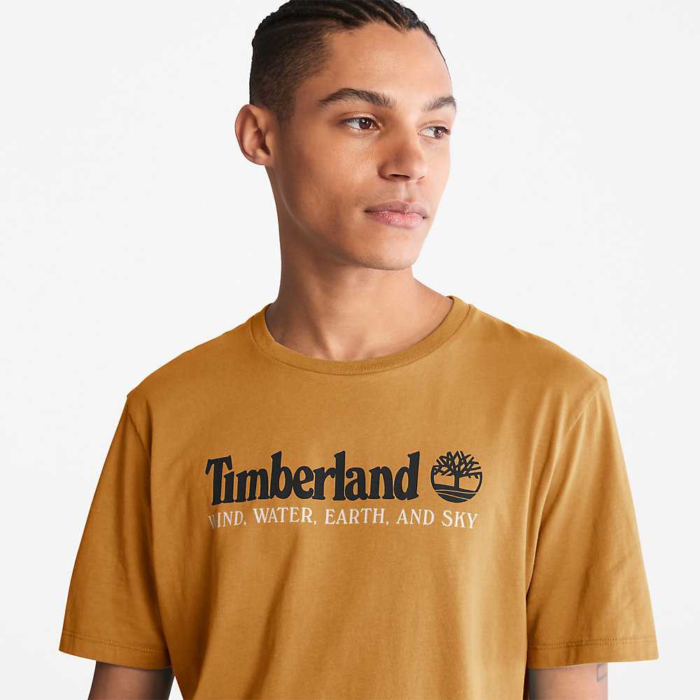 Brown Men's Timberland Wind Water Earth And Sky T Shirts | Israel-9512473