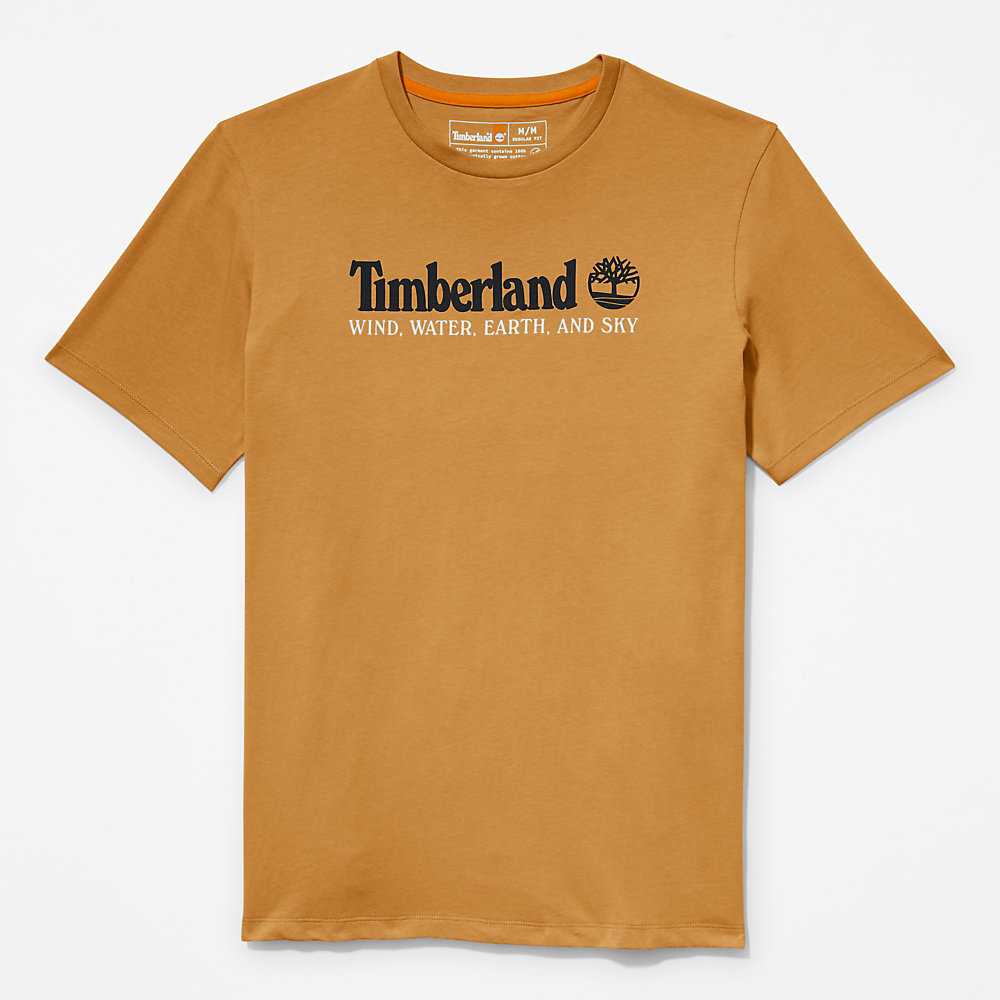 Brown Men's Timberland Wind Water Earth And Sky T Shirts | Israel-9512473