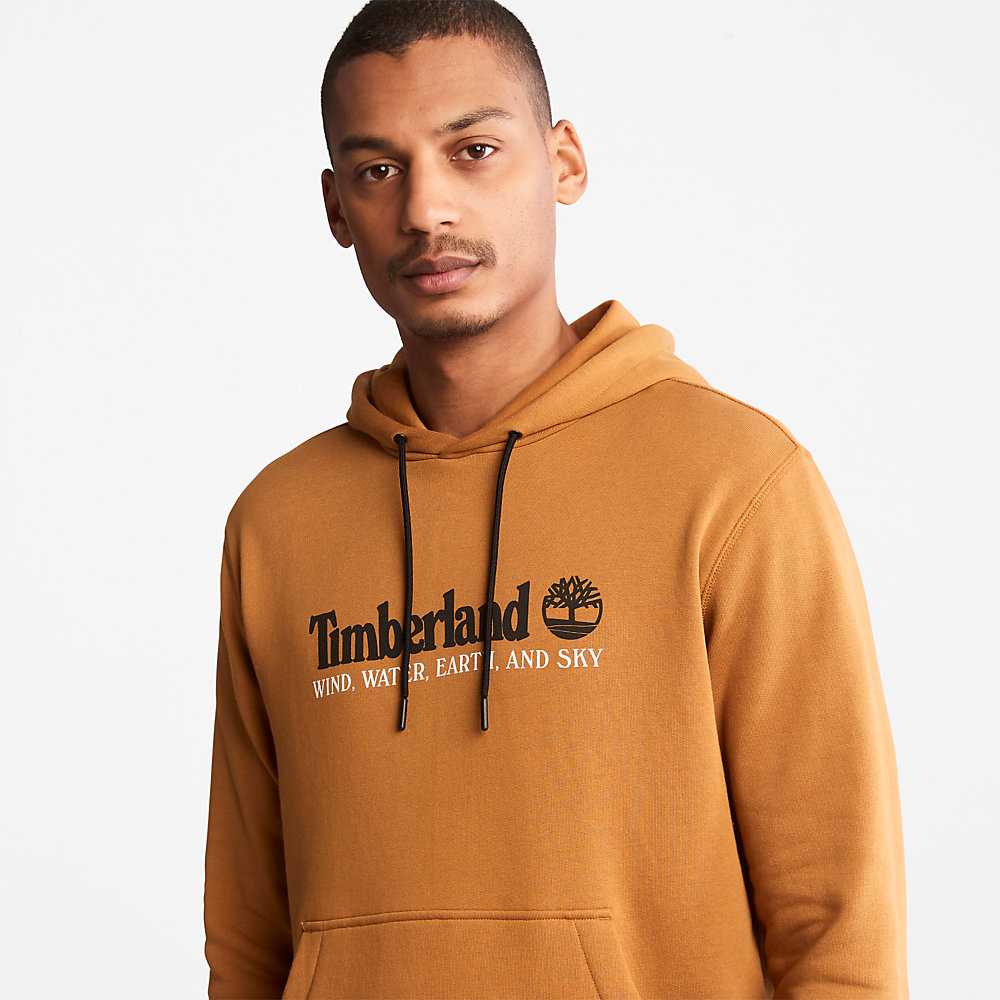 Brown Men's Timberland Wind Water Earth And Sky Hoodie | Israel-9635041