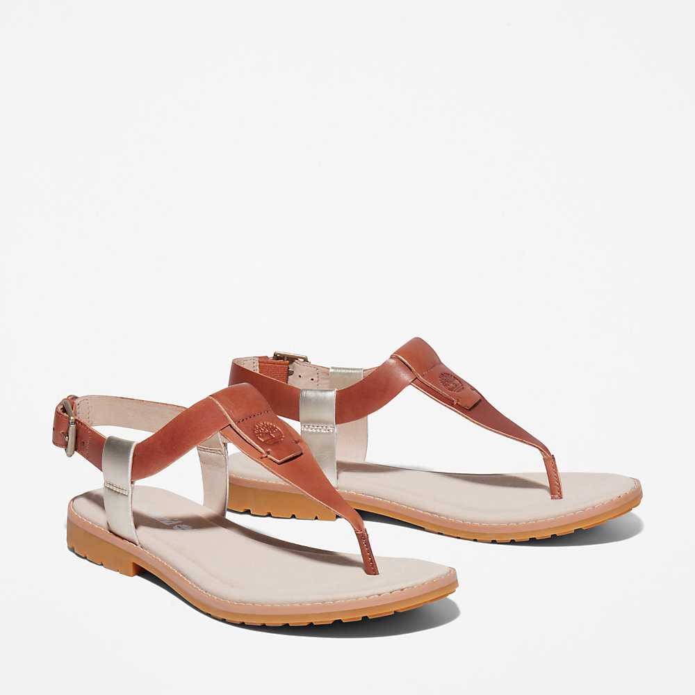 Brown Women's Timberland Chicago Riverside Thong Sandals | Israel-7245631