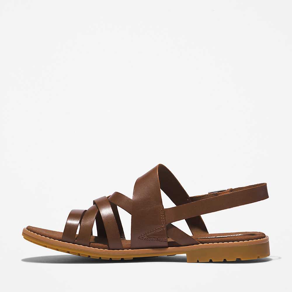 Brown Women's Timberland Chicago Sandals | Israel-8215349